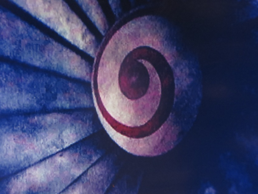 The wormhole symbol for the jet engine in time travel flick Donnie Darko.